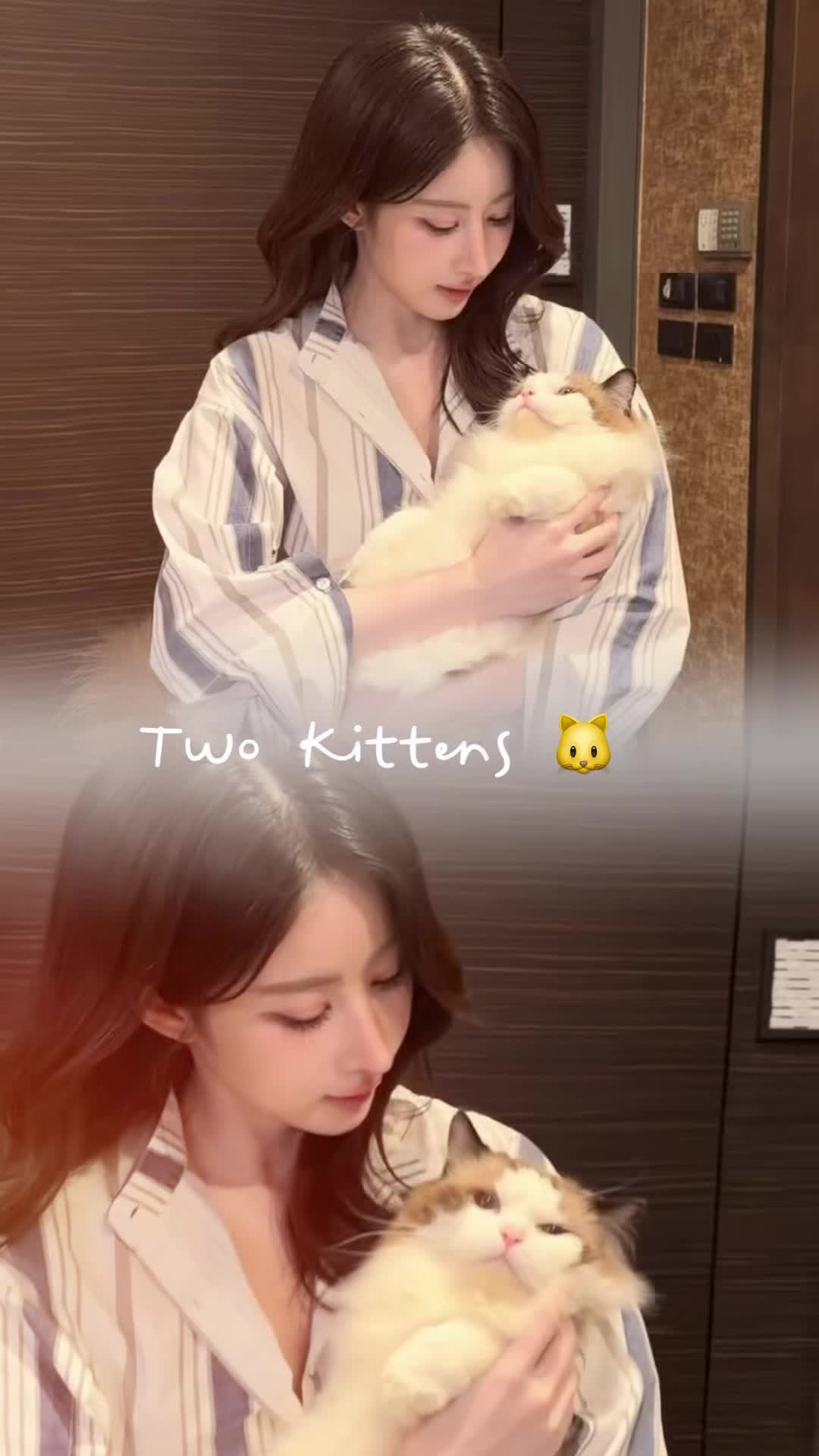 @Huihui