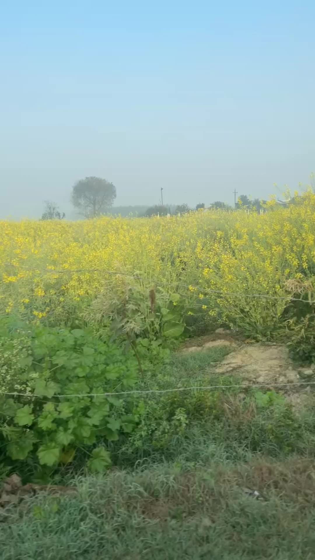 @user7359468119809