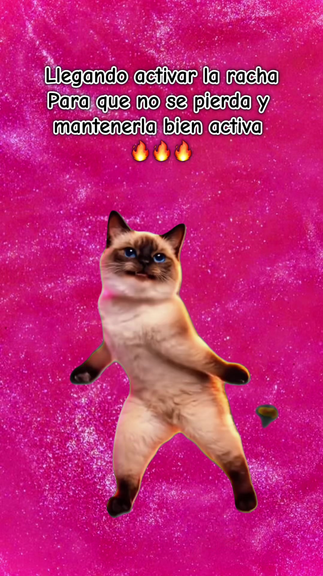 @Hernández_02