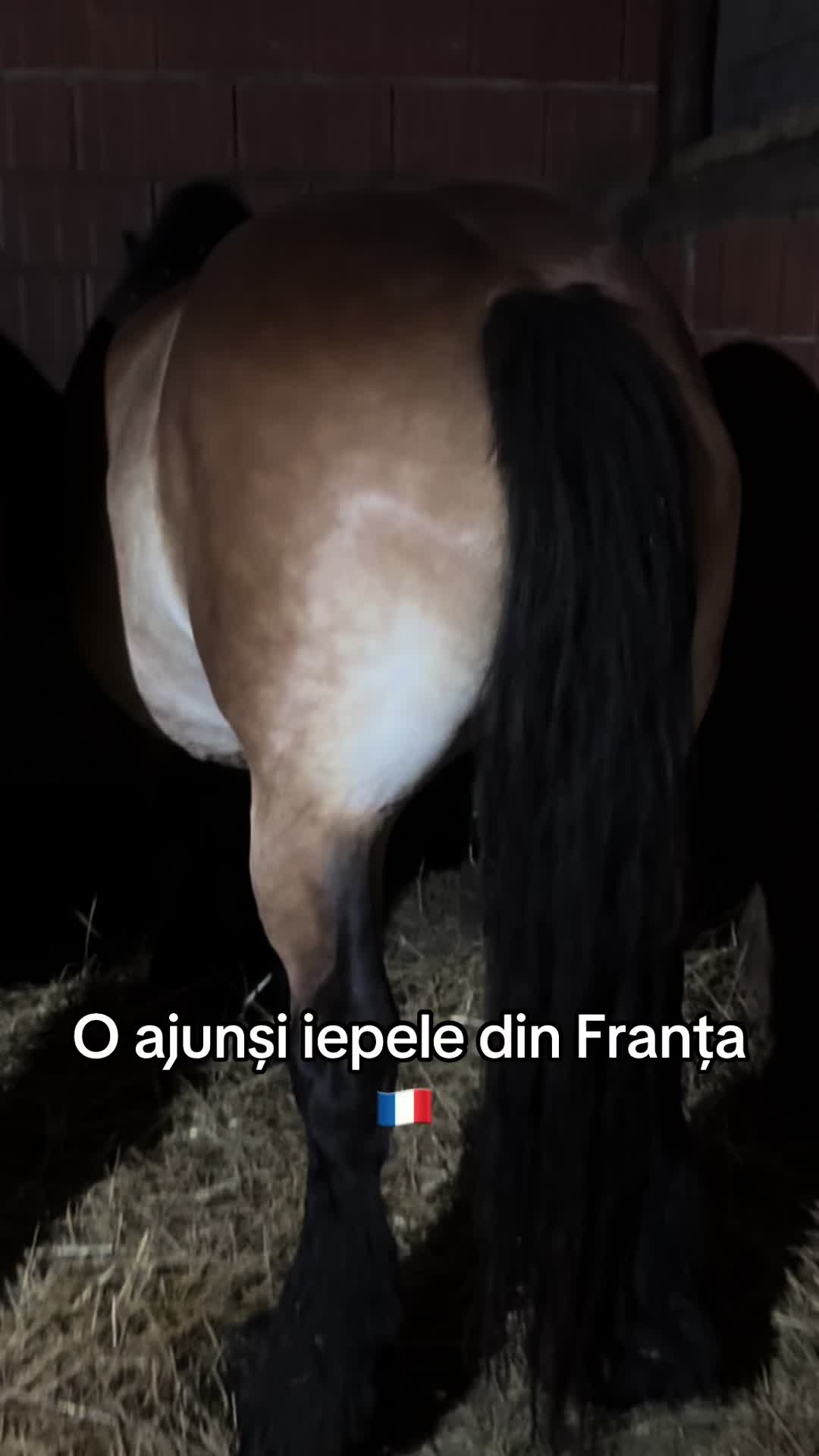 @🐴Spartanu🐴