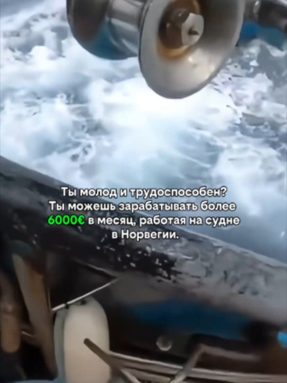 @Краболов Матковский Алексей