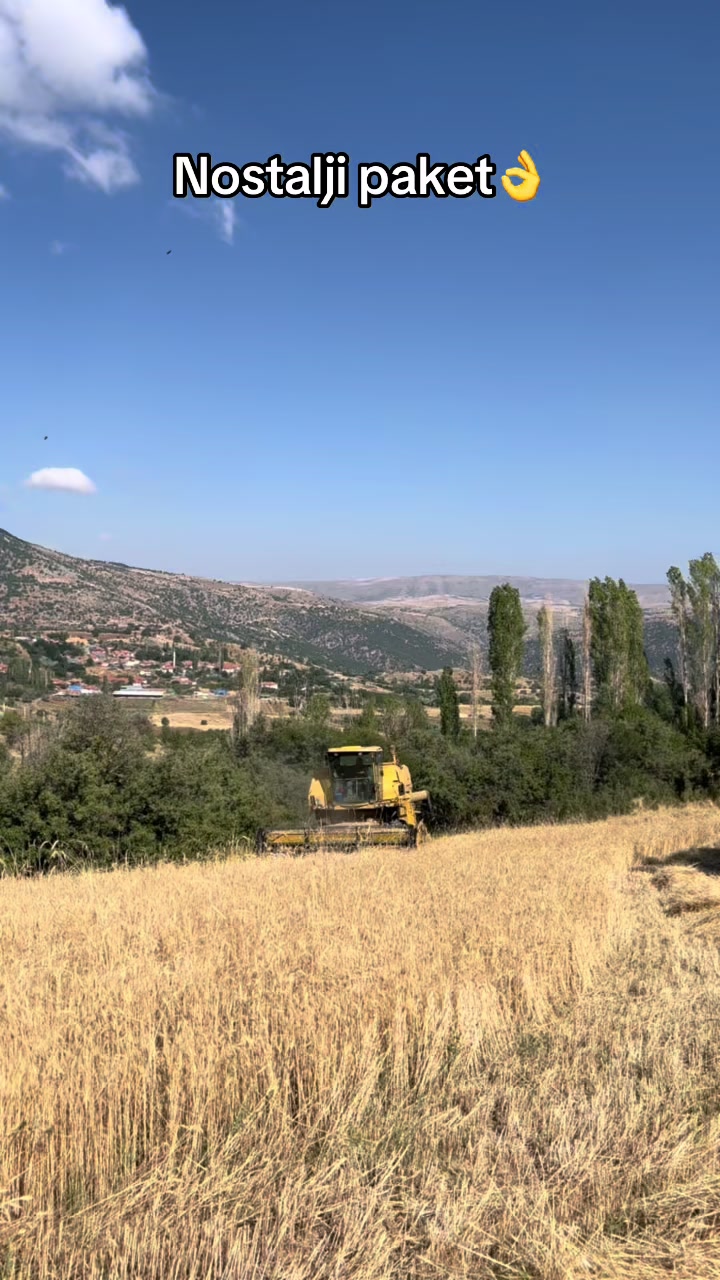 @İdris İğde