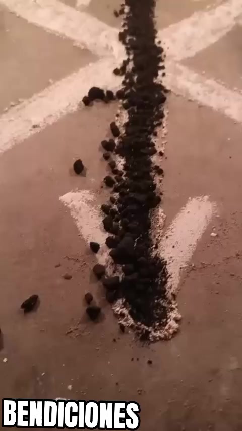 @Sofia Marin