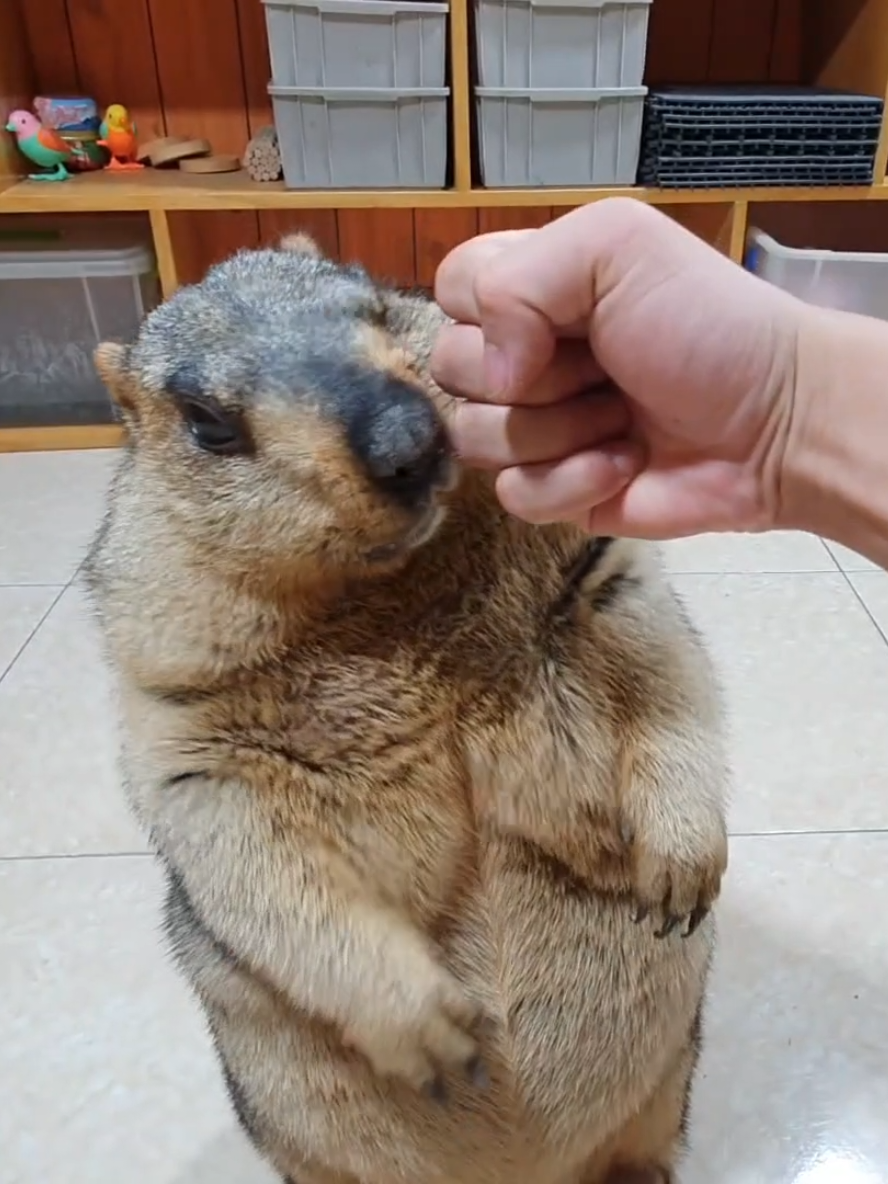 @YêuYêu