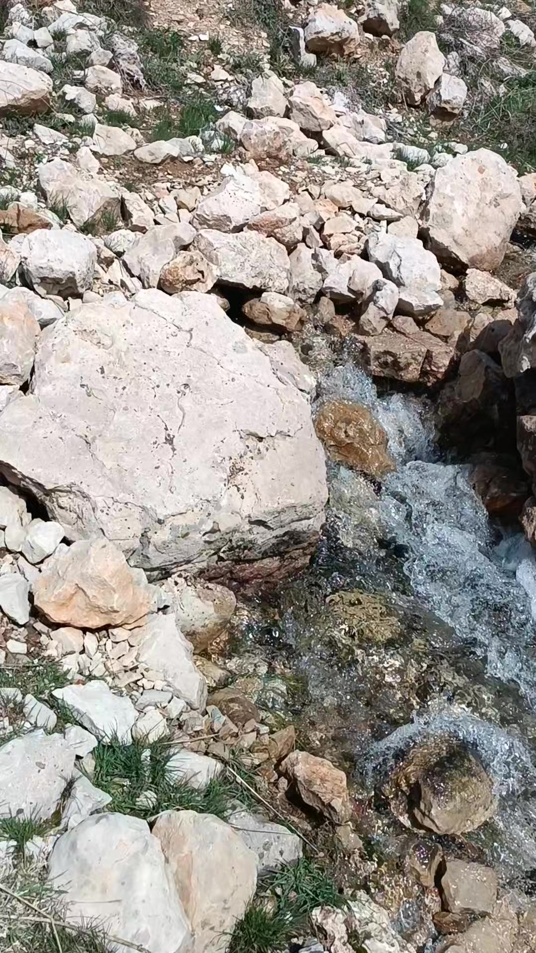 @DAĞCI.46