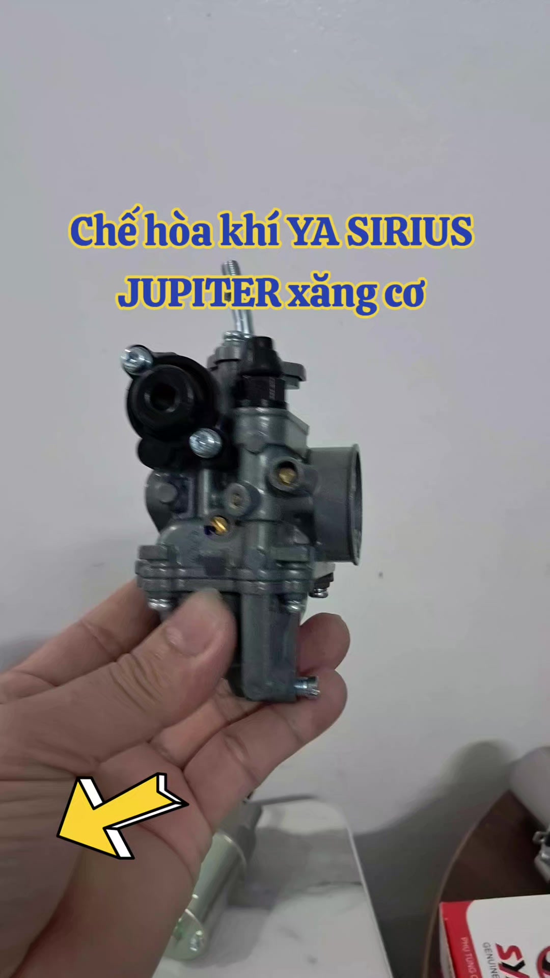 @PH&Uacute;C DƯƠNG LUXURY