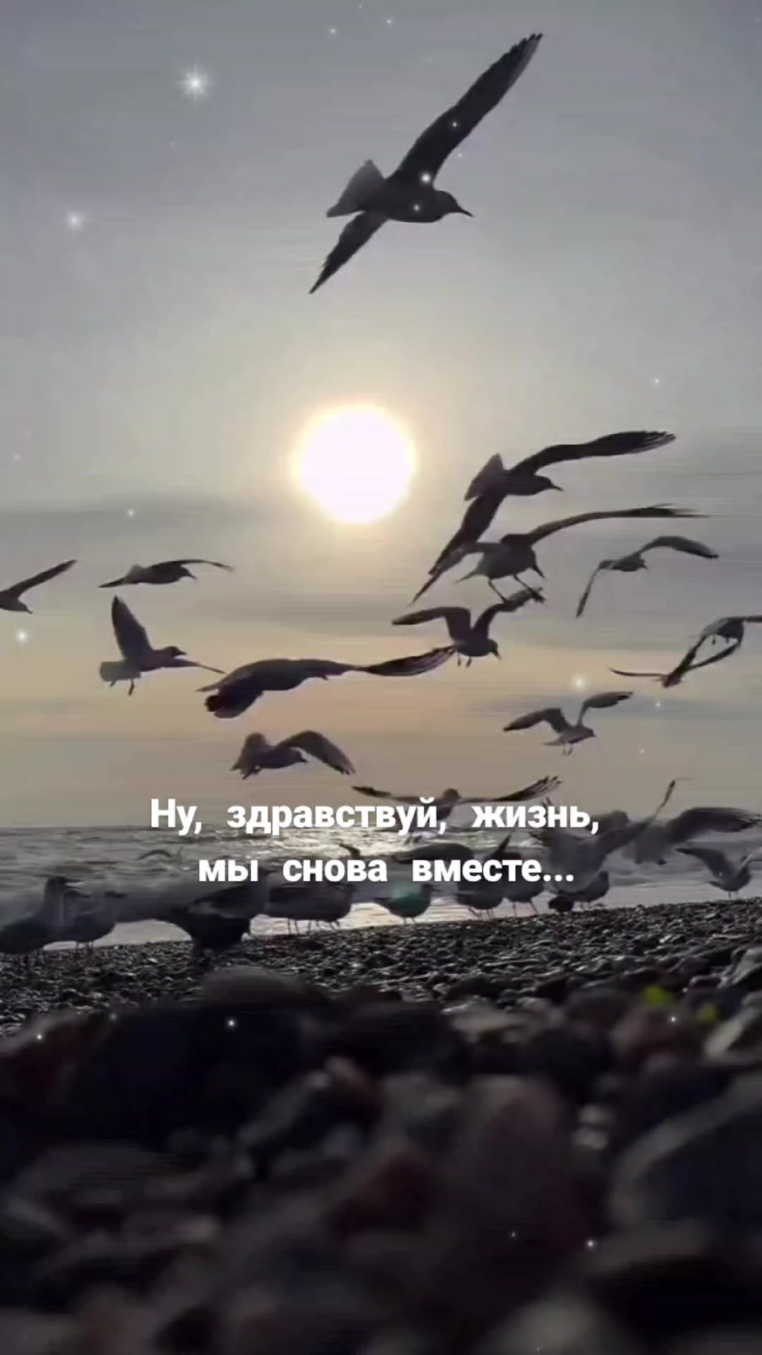 @Елена