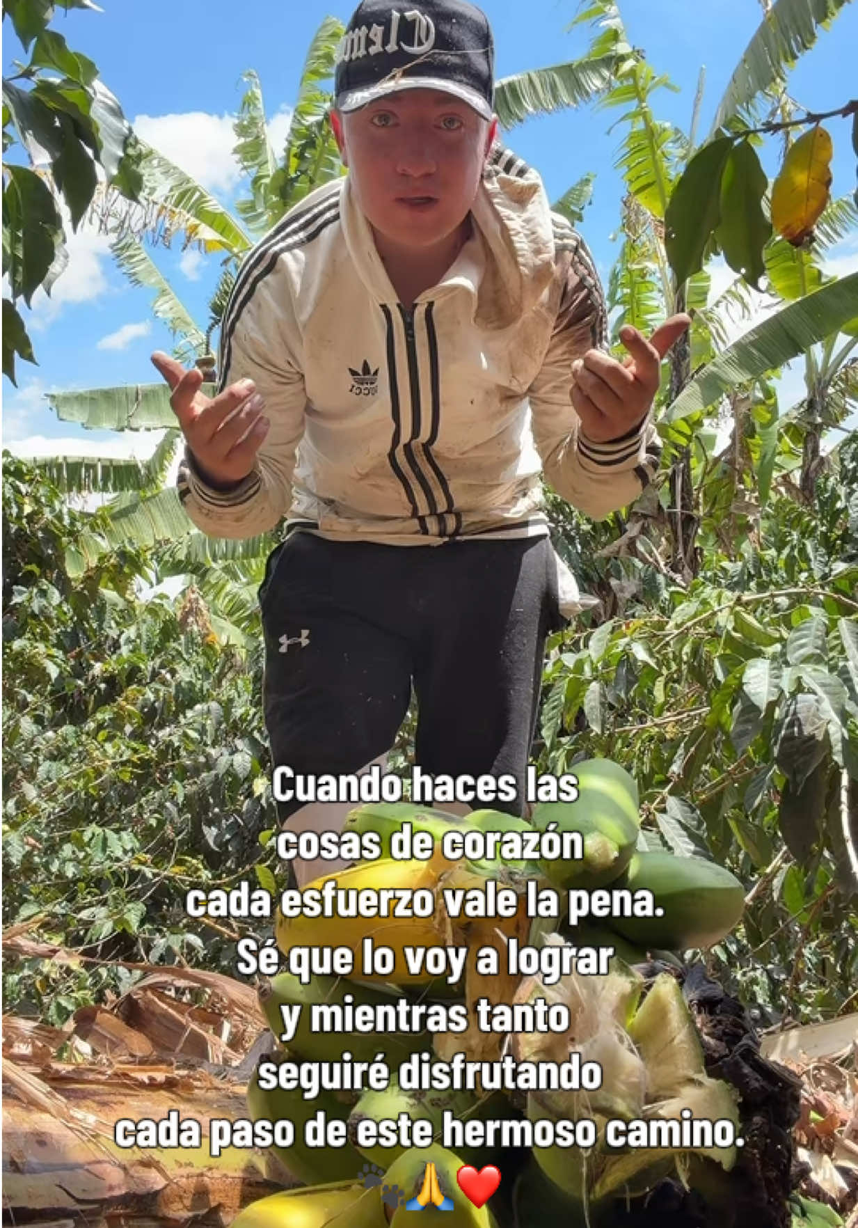 @ElShanty