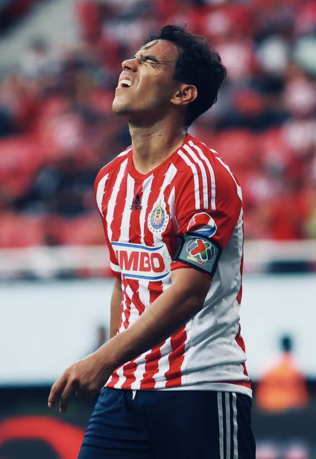 @Ángel Azulcrema
