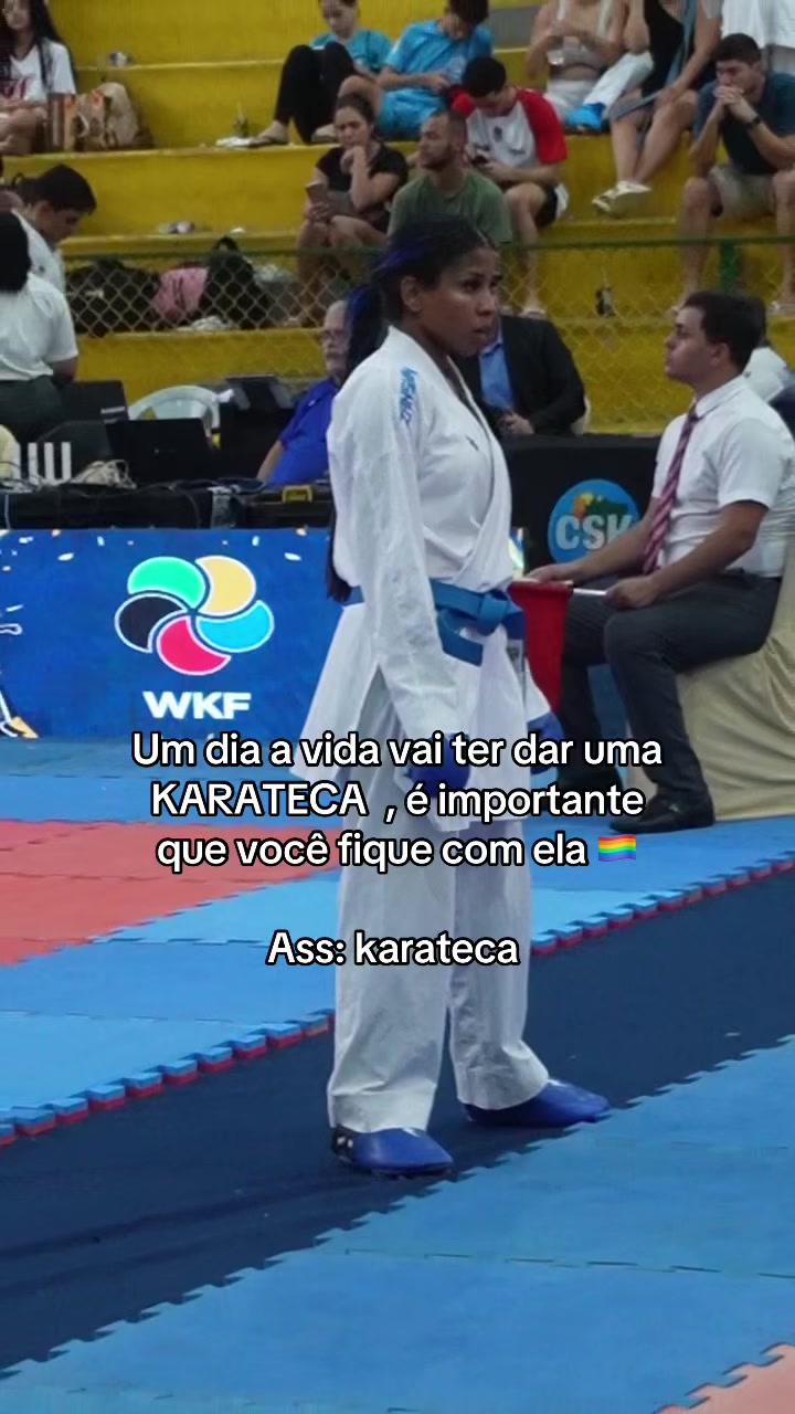 @diario.da.karateca