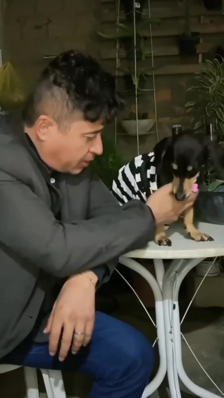 @Z&eacute; bebinho da mam&atilde;e oficial