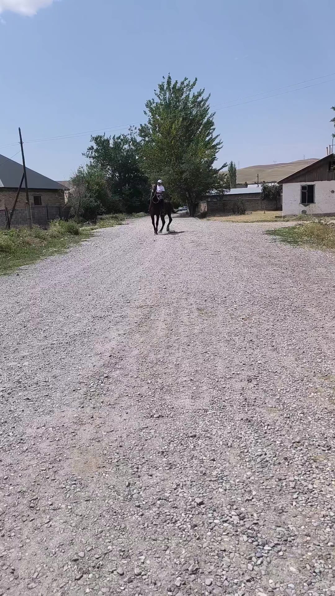 @tynycbekazaliev