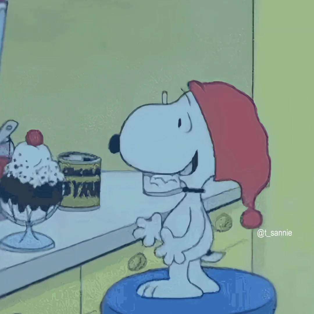 @thvsnoopy_𝜗ৎ