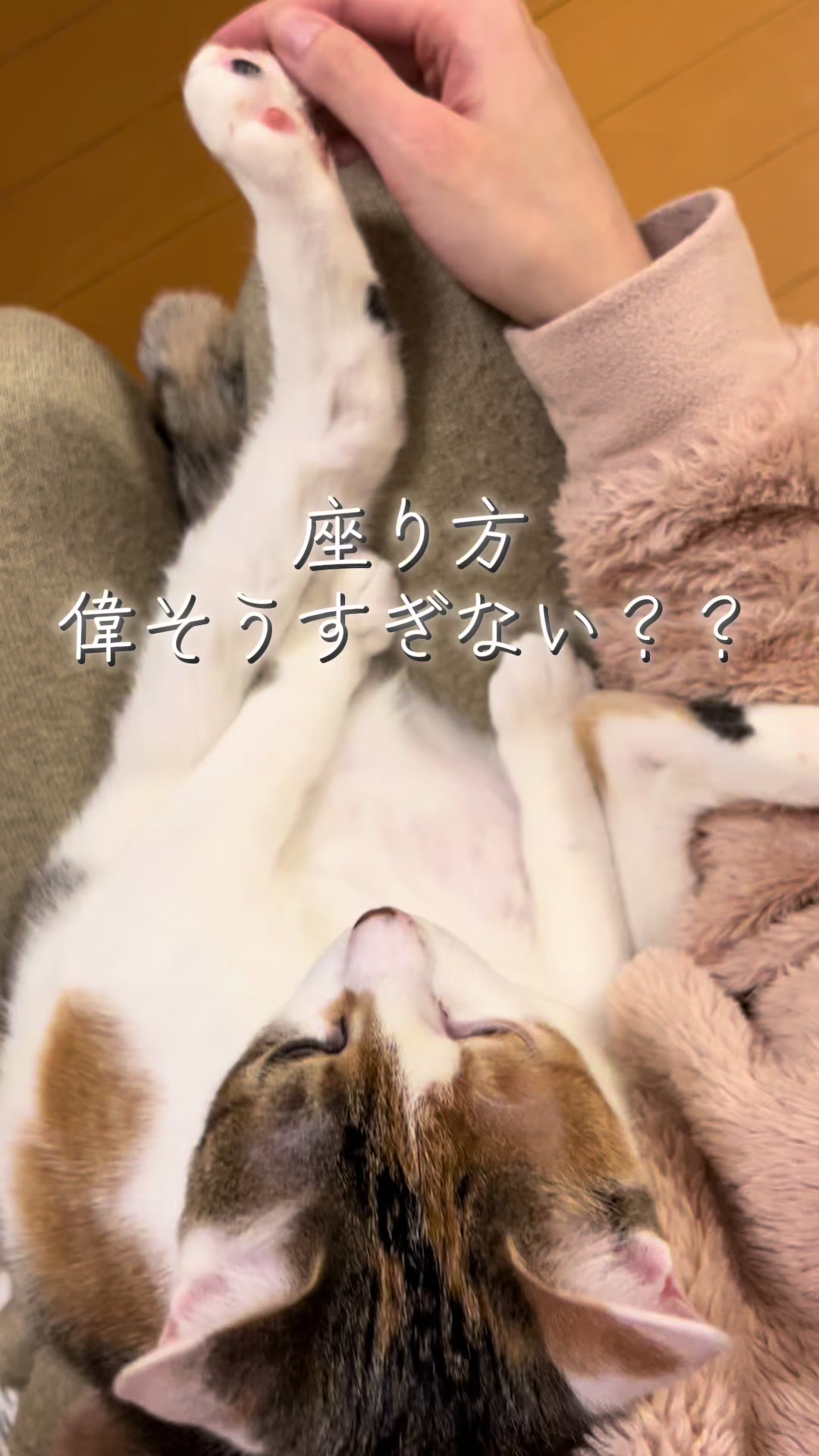 @ふくらんうみ🍶