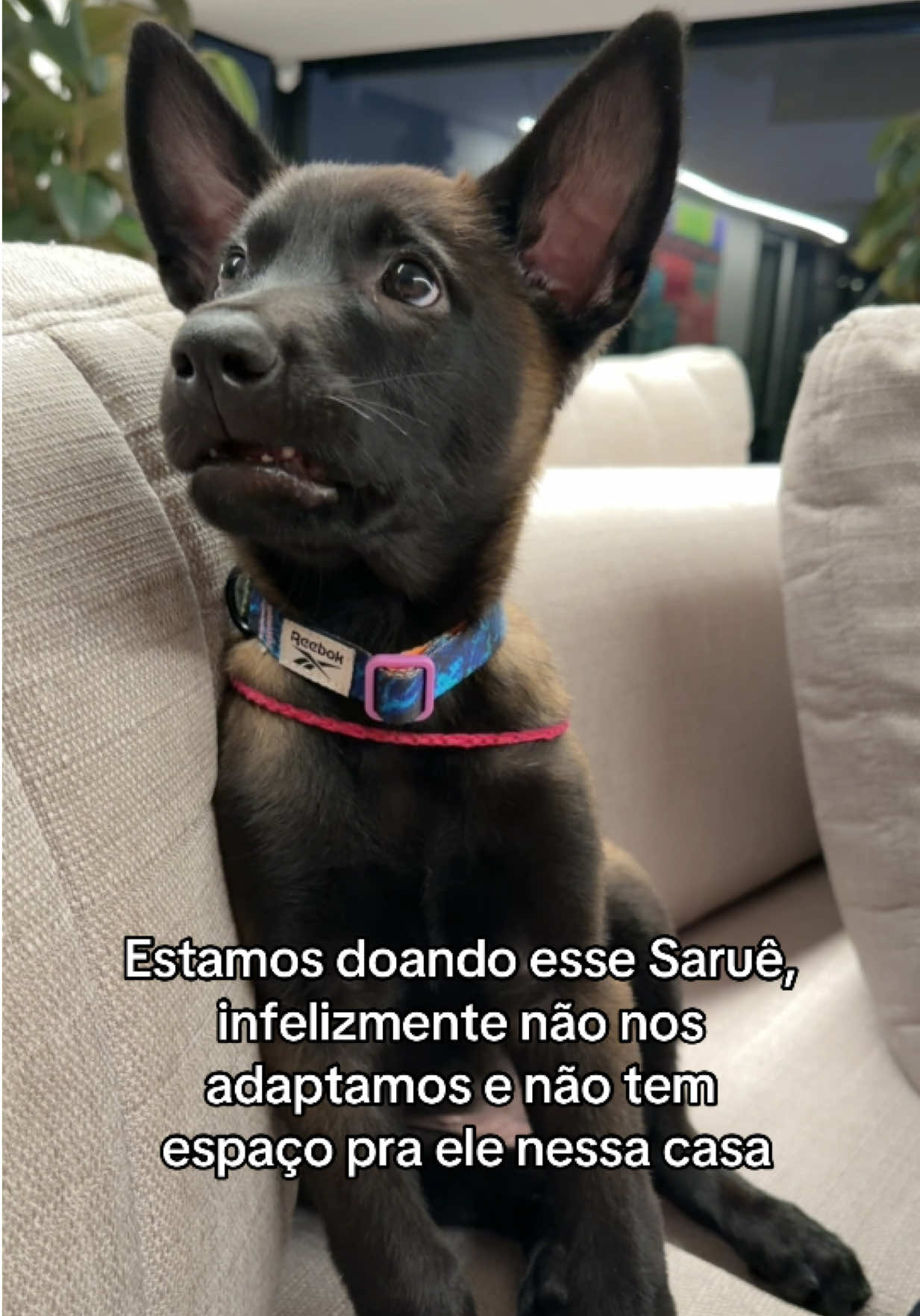 @Jessi