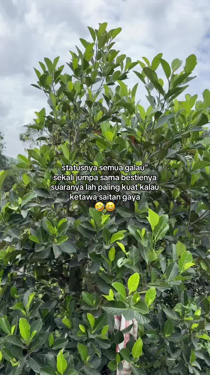 @shaaa&rdquo;🦋