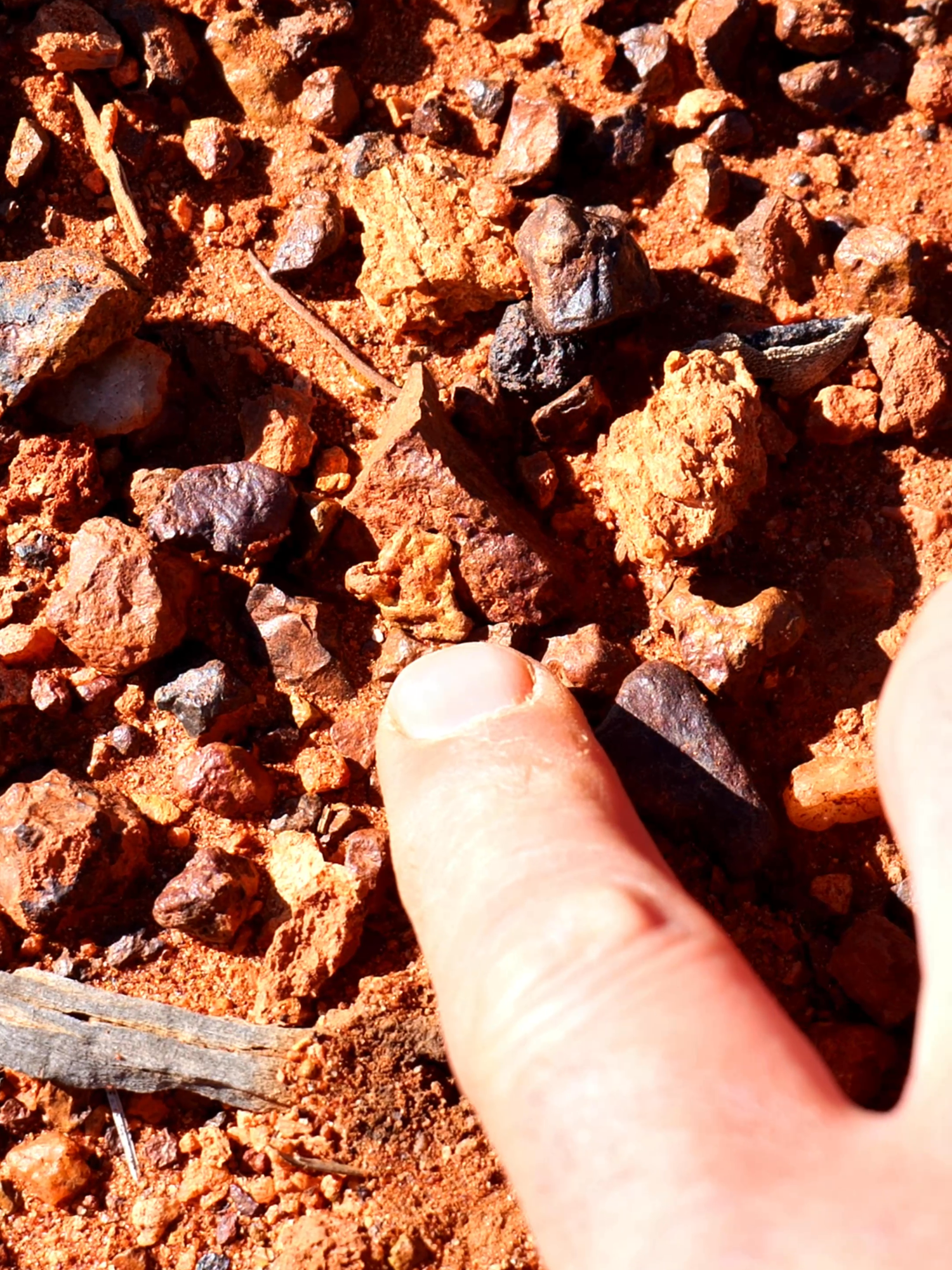@Savage Prospecting