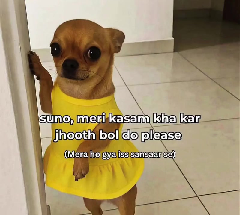 @فَاطِمہَ🪾