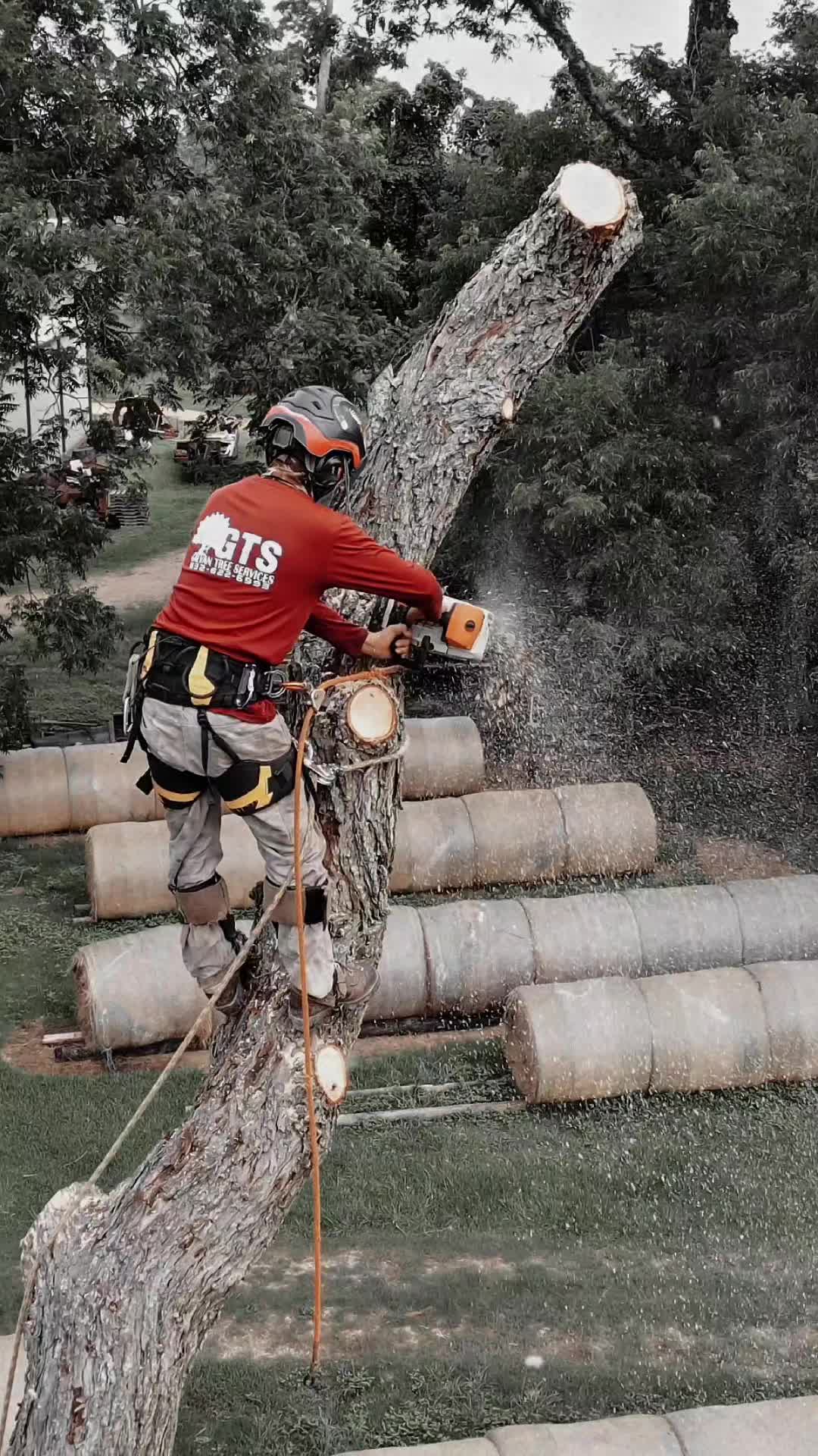@GTS Galvan Tree Services LLC