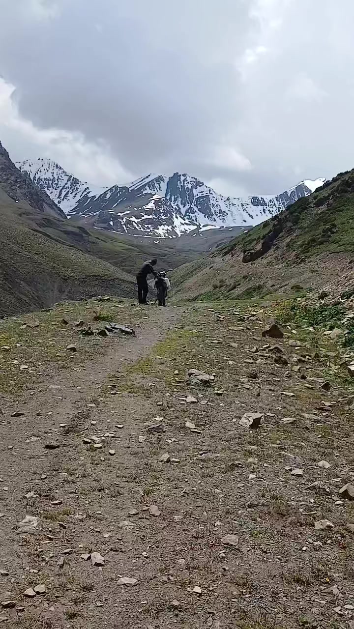 @медведь