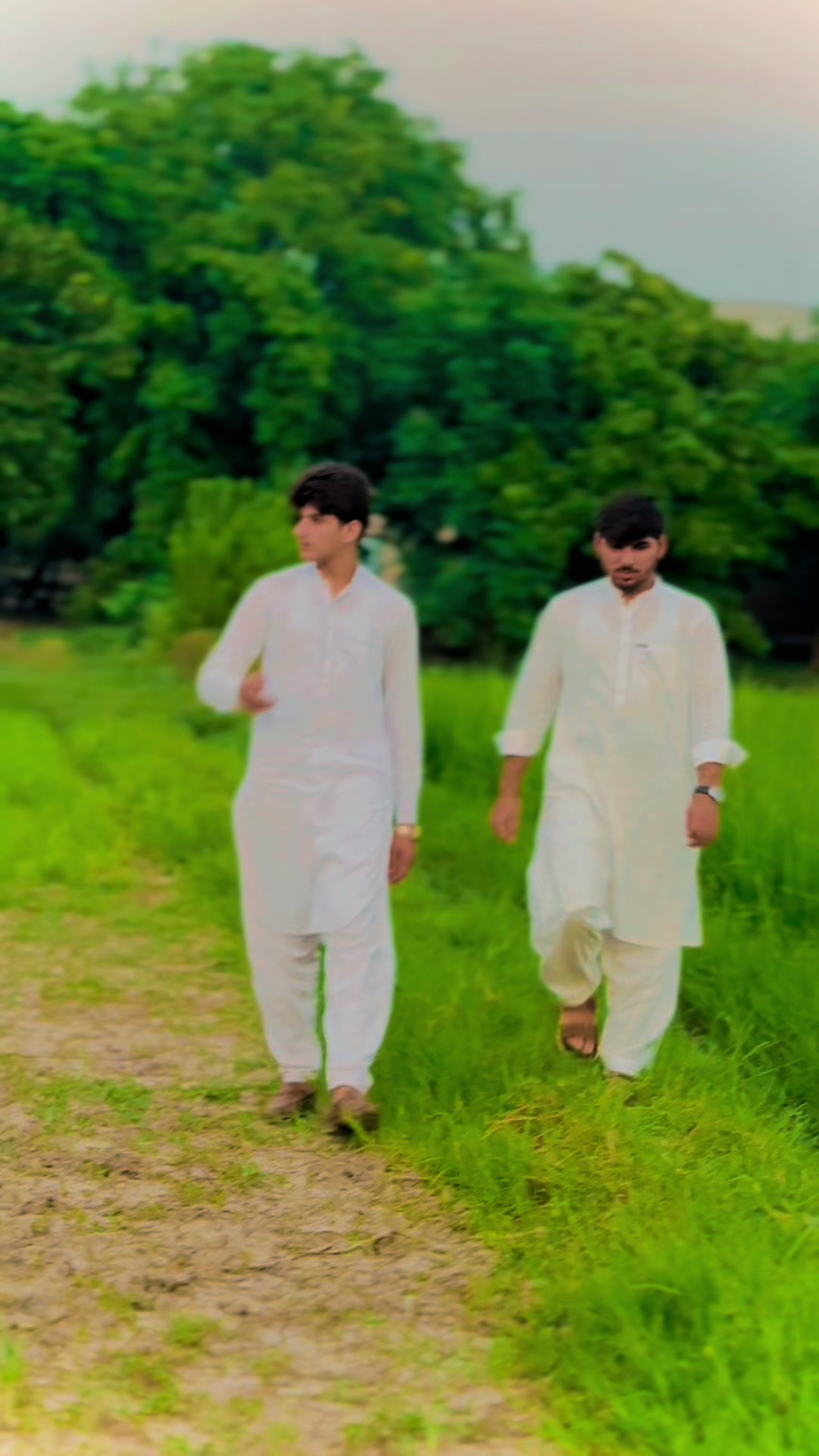 @احمد مجتبی وریاں