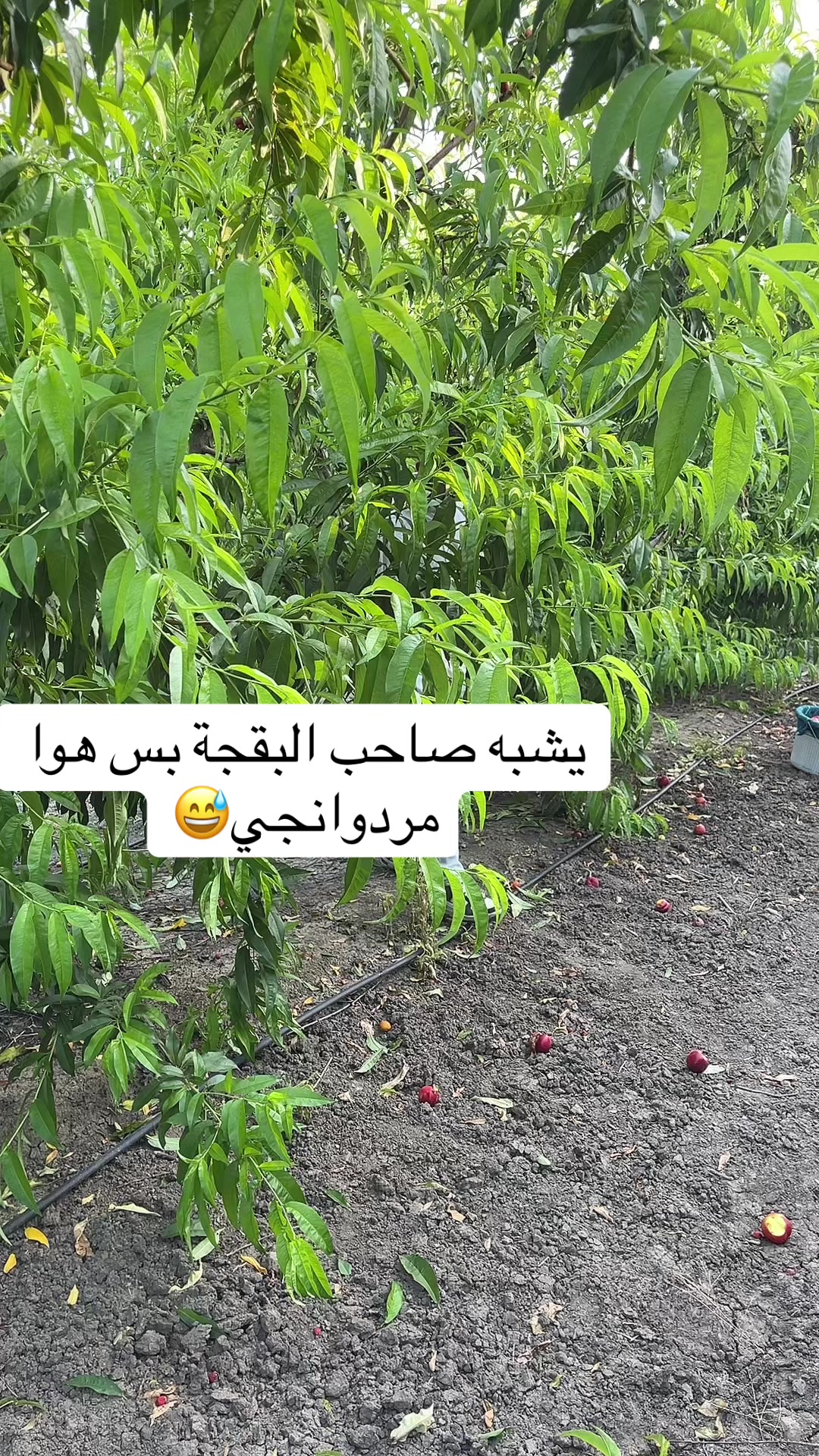 @ZAGOR _13_72🦅