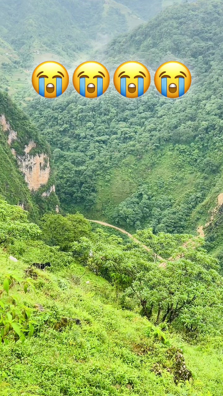 @👑 रतन लो tamang