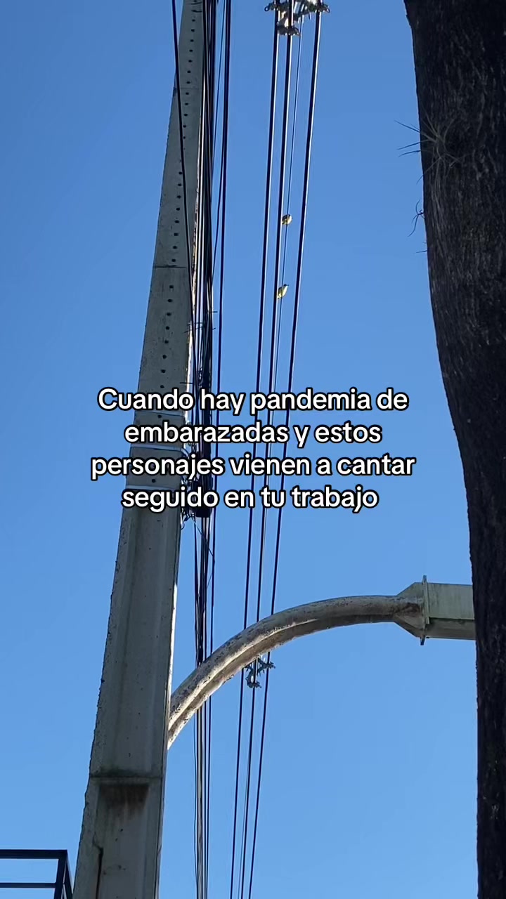 @Mica🐈&zwj;⬛