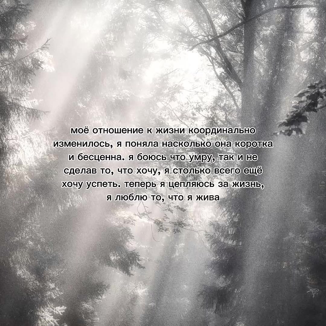 @salvia nn@