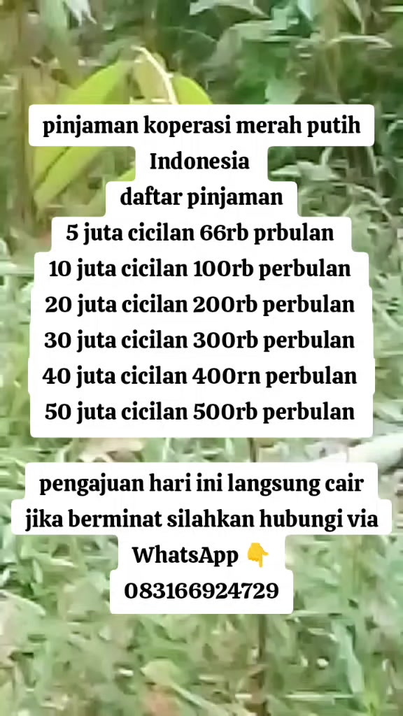 @KOPERASI Pinjaman Merah Putih