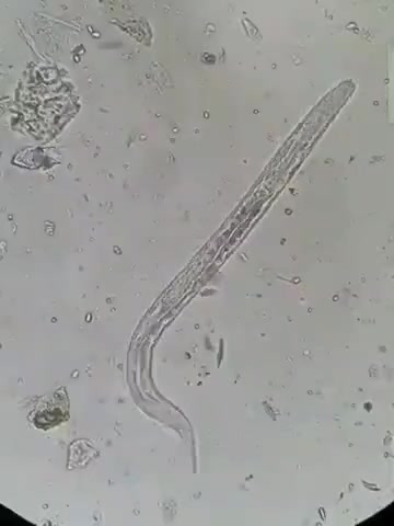 @Biologiste-Mompepe🔬💉😊