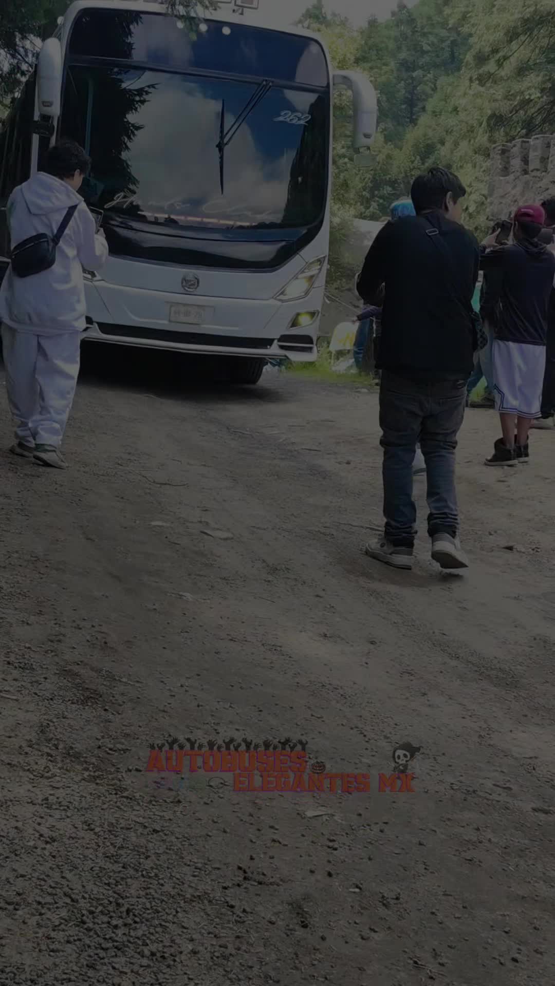@Autobuses Elegantes Mx