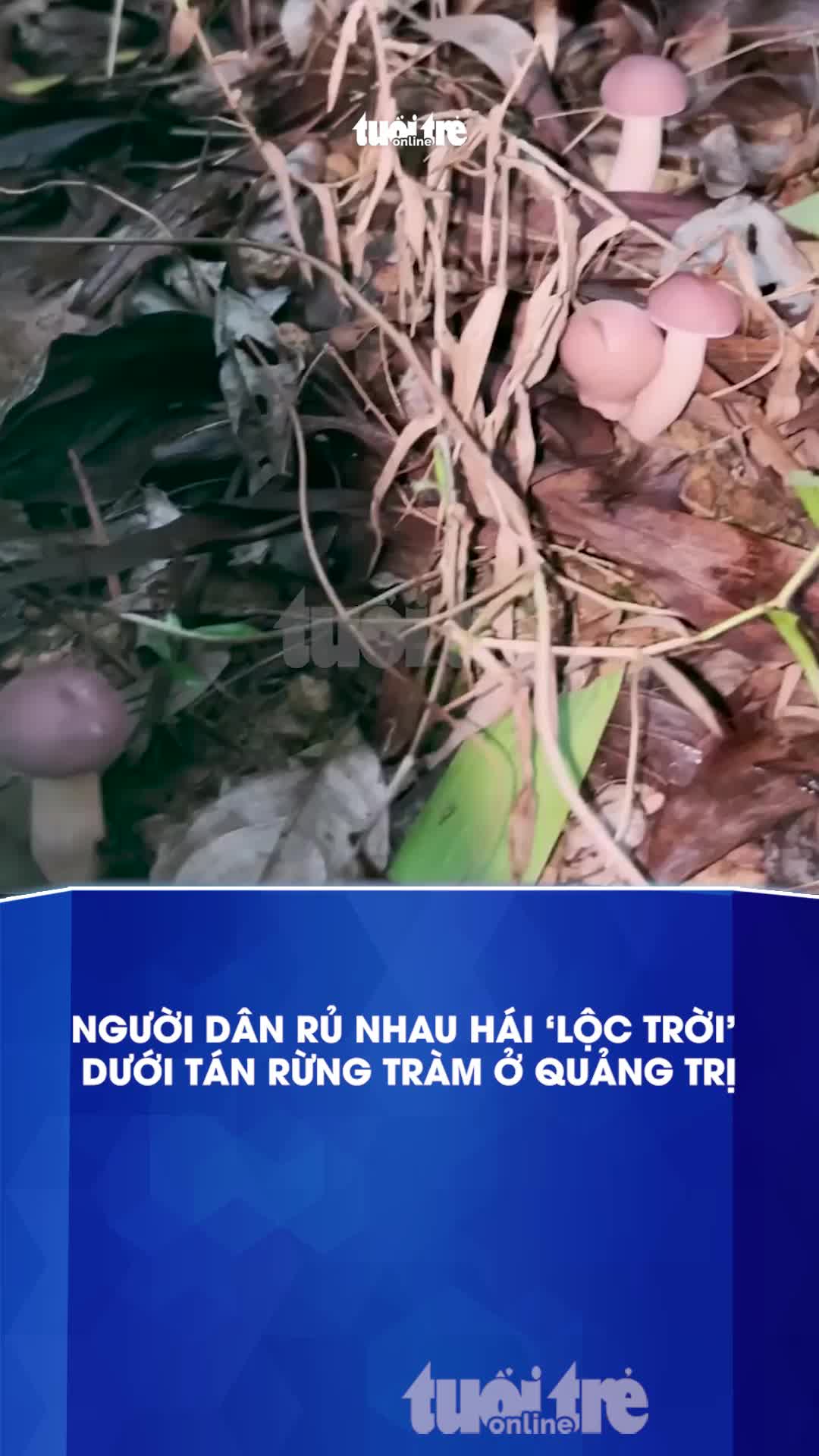 @B&aacute;o Tuổi Trẻ