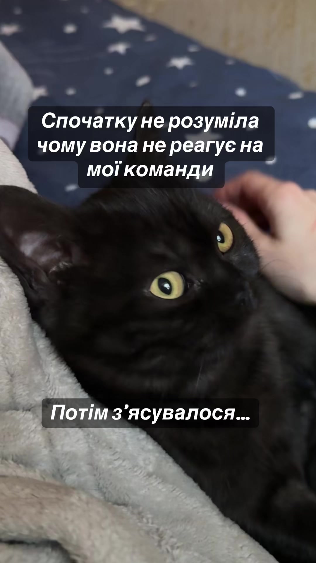 @nikullochkina