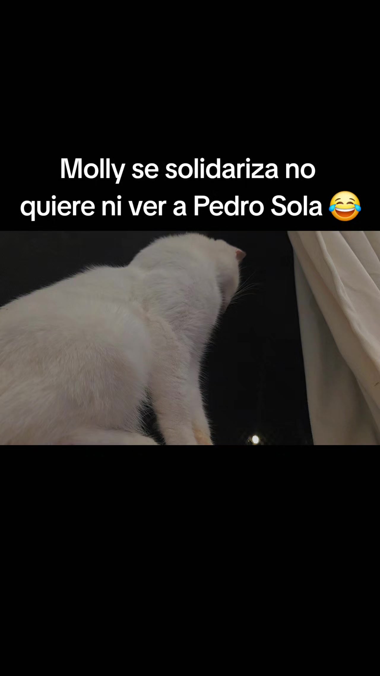 @Cintya Estefany 🤌🙋🏽&zwj;♀️