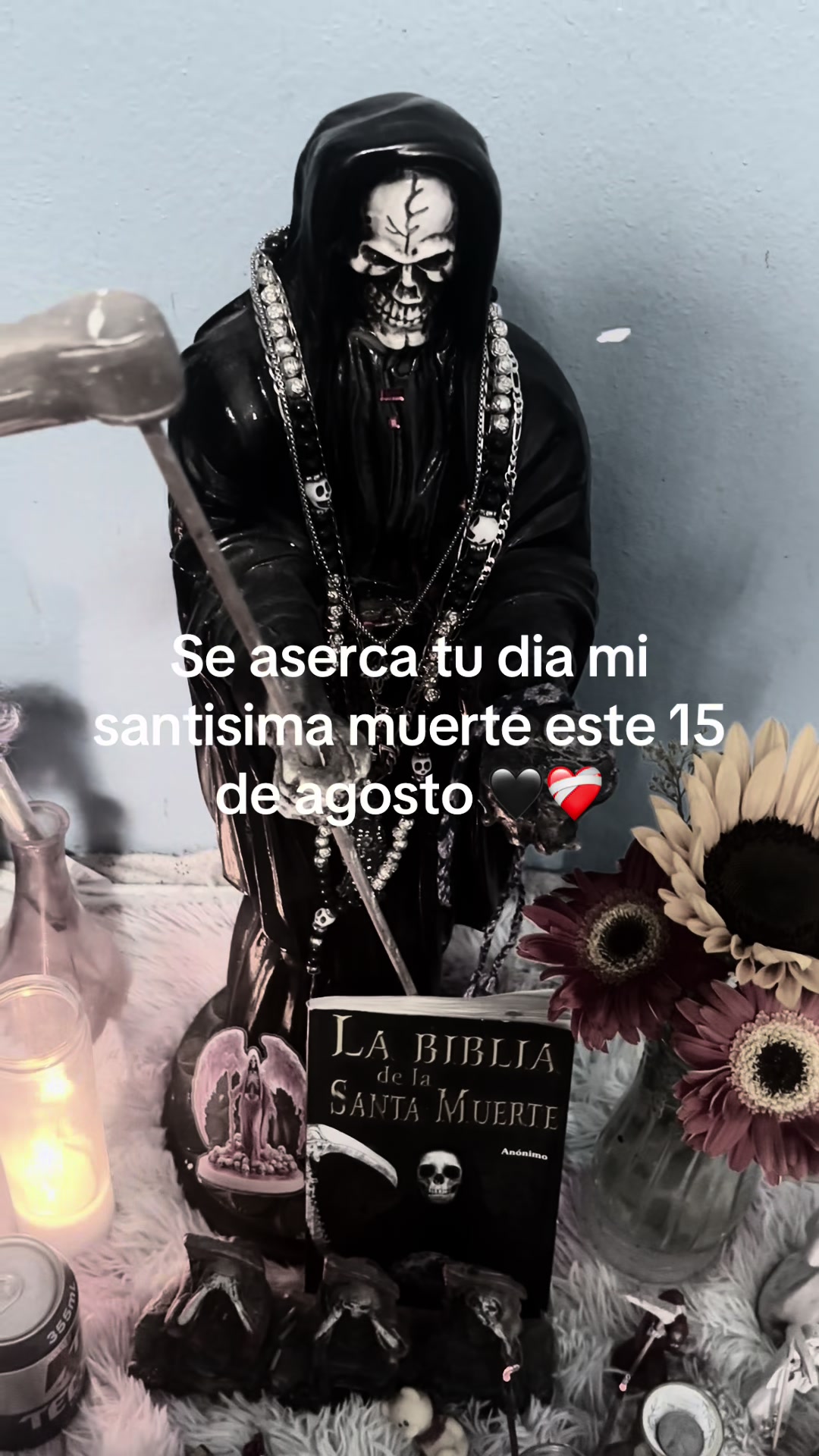 @Julietta Sanchez✨️💙💚