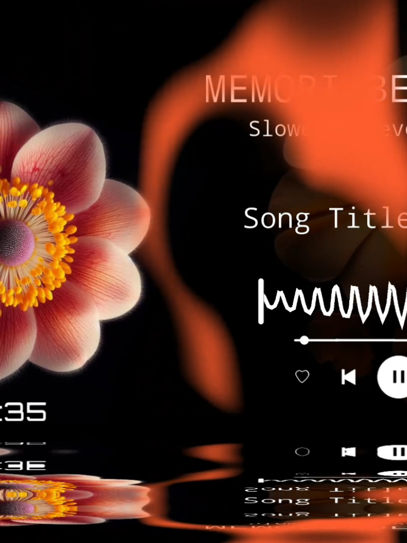 @ALEXA MUSIC