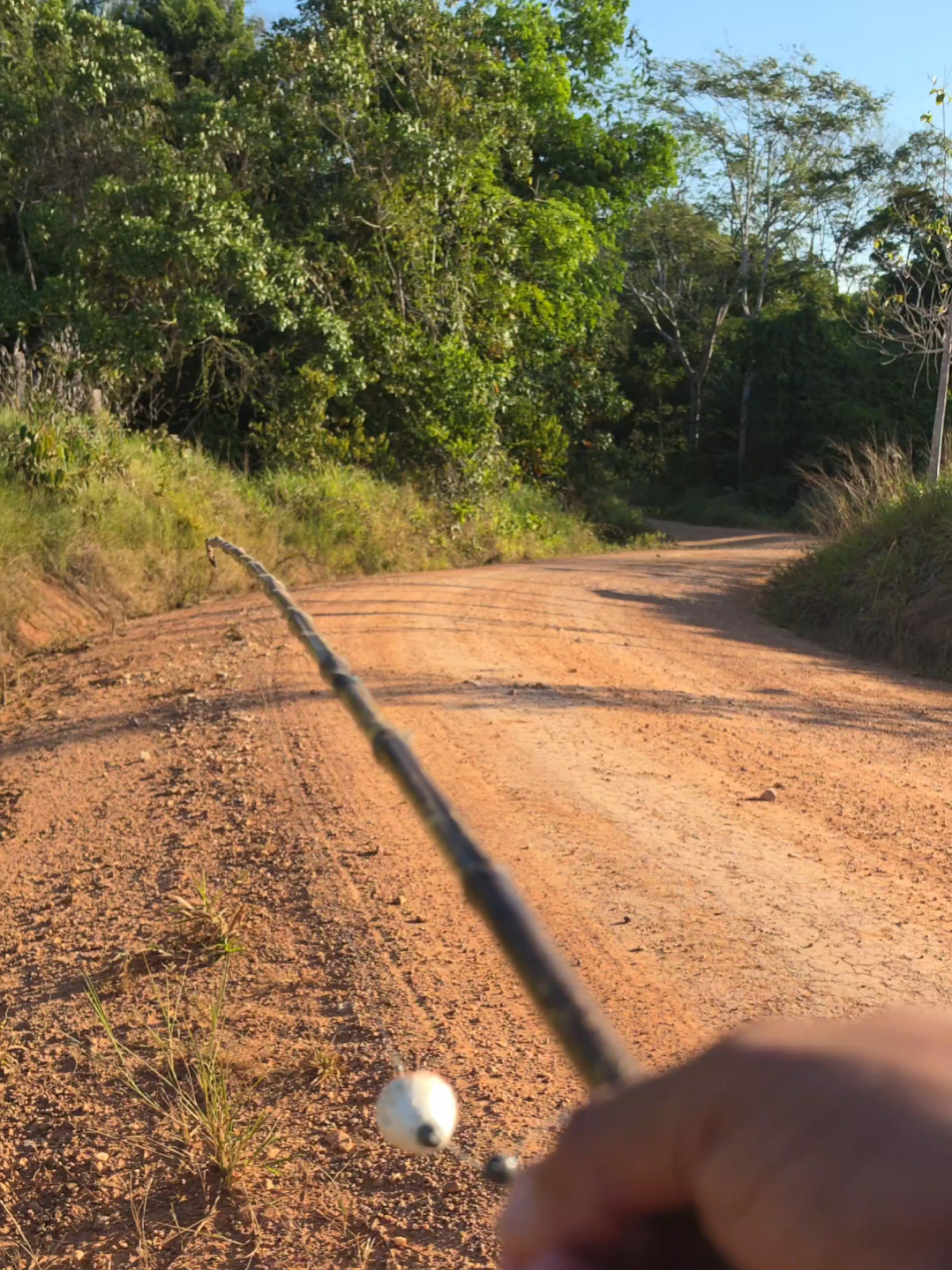 @De Rondônia Para O Mundo