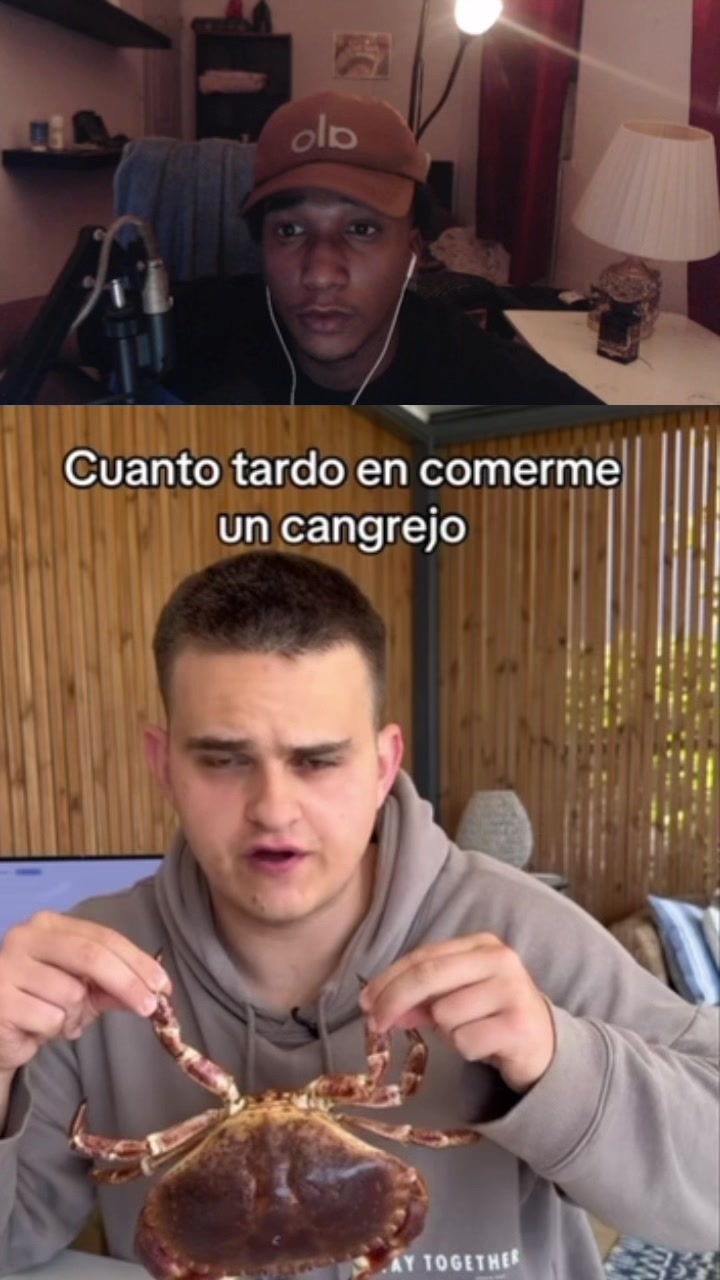 @nardosito 🕷️