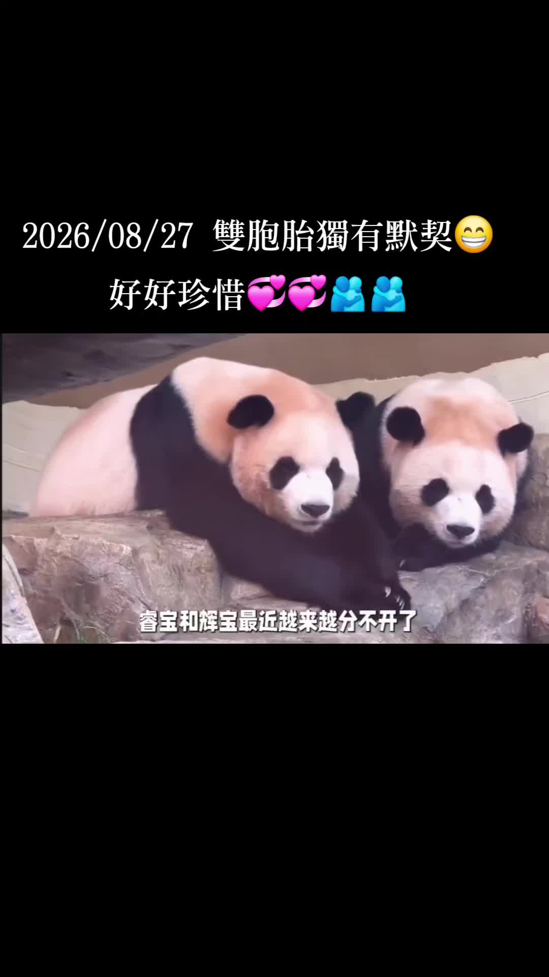 @福寶需要愛的抱抱