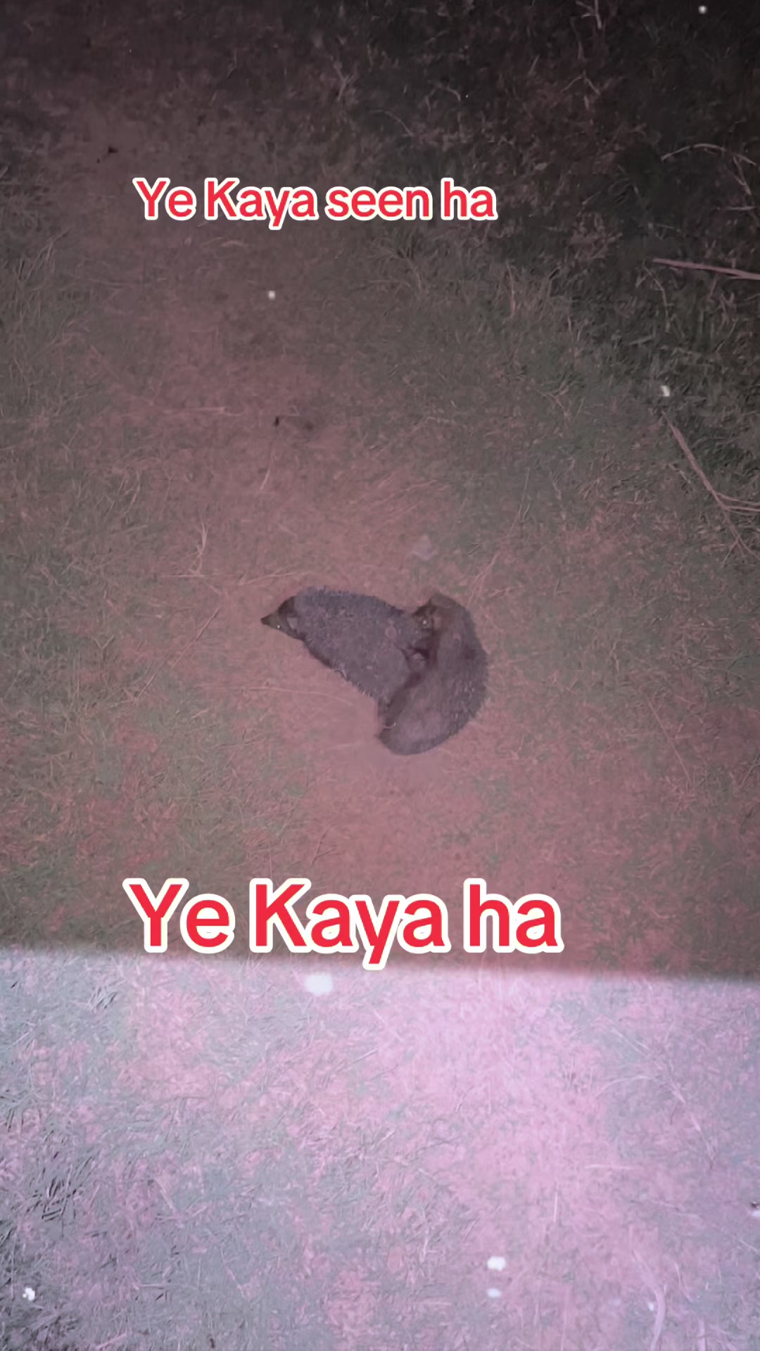 @🥷☠️Kashif🔥 باغی☠️333😈🥷