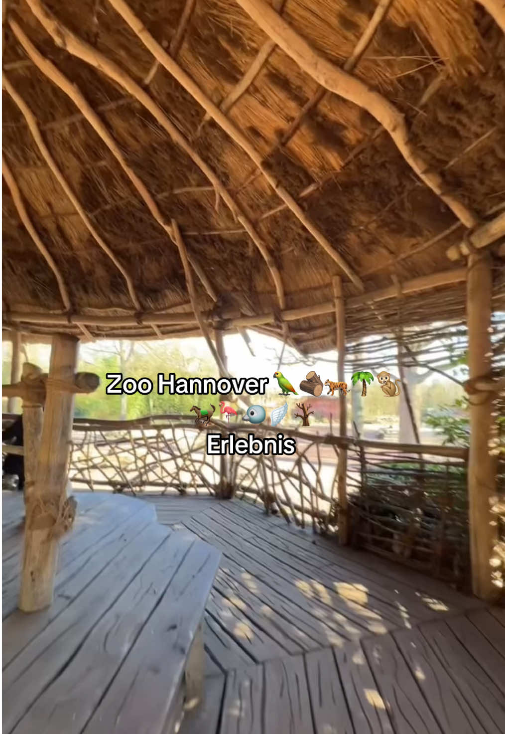 @spotwith.hana