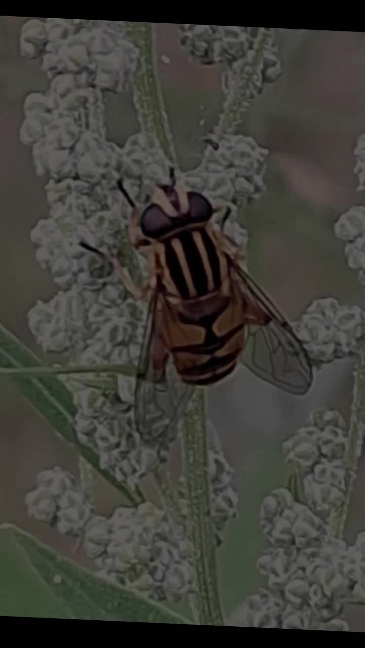 @Natur und Garten