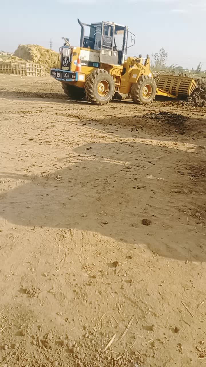@على المرسي