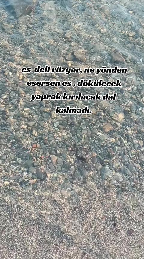 @🖤K&uuml;rt kızı 65🖤