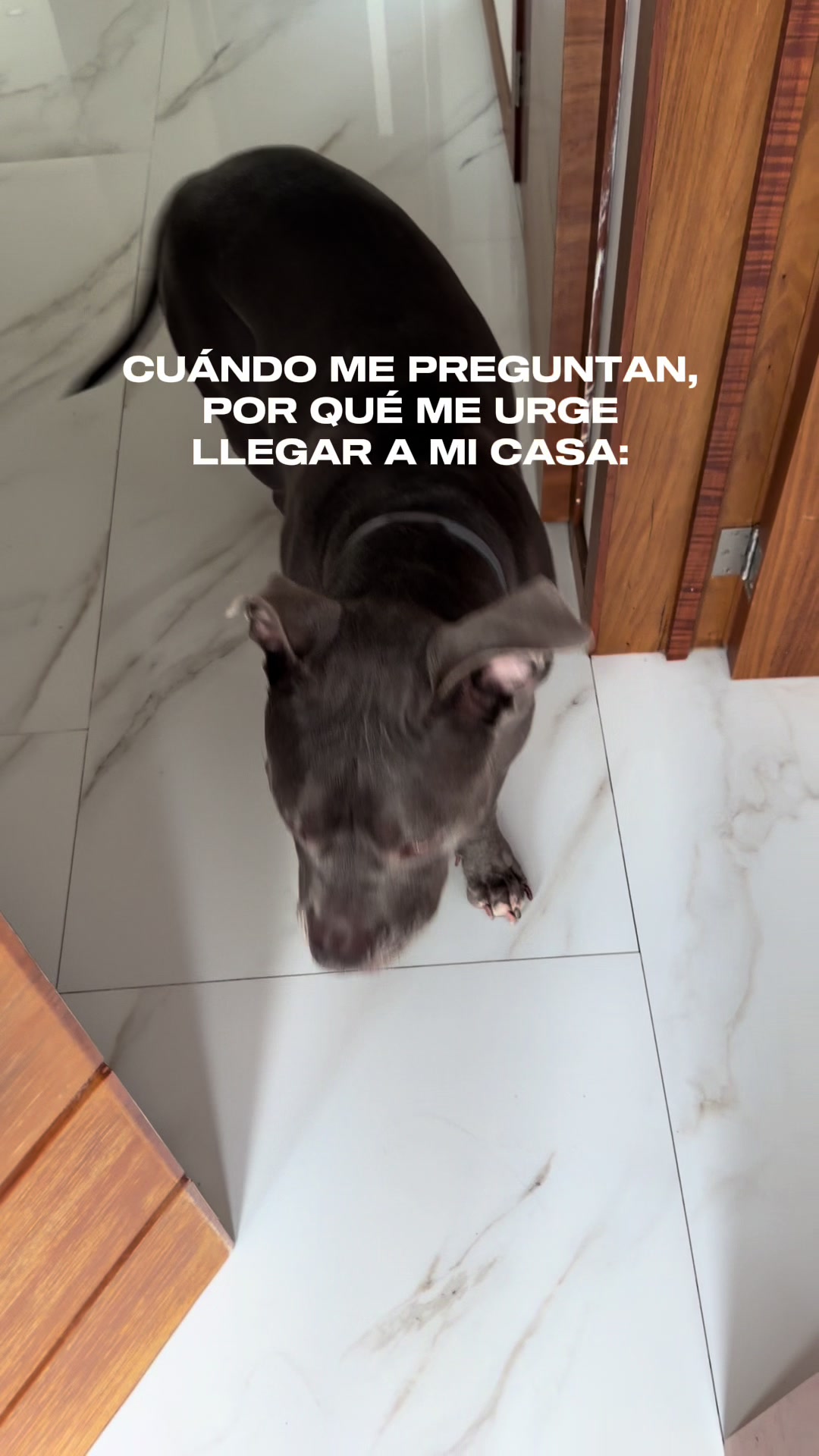 @Ceci Sp