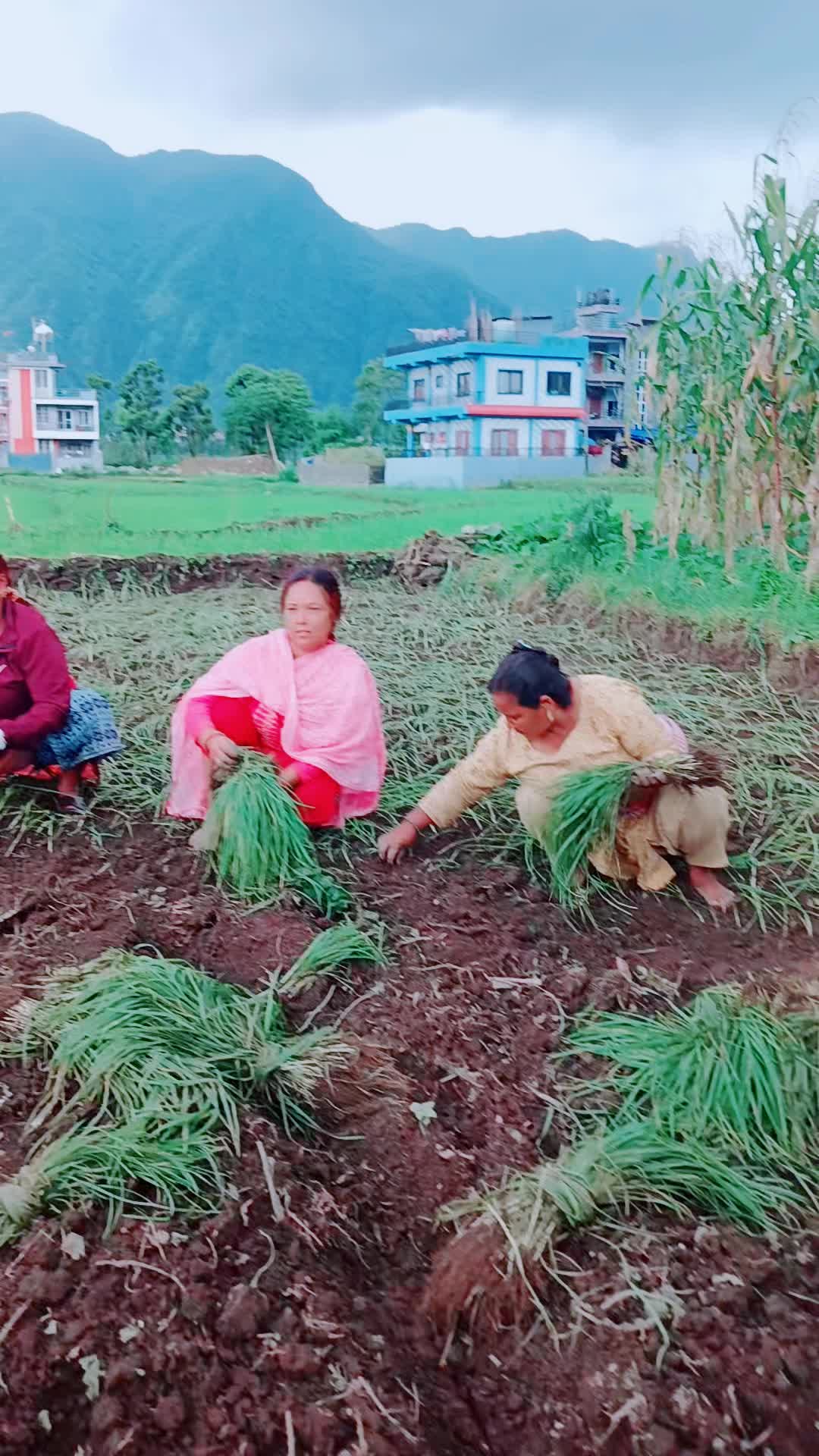 @laxmi thapa