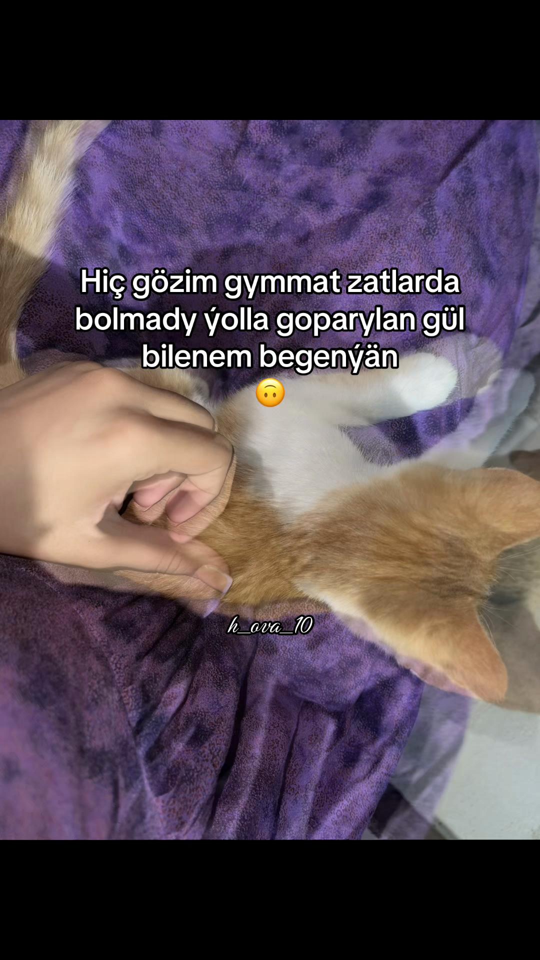 @𝒽_𝑜𝓋𝒶