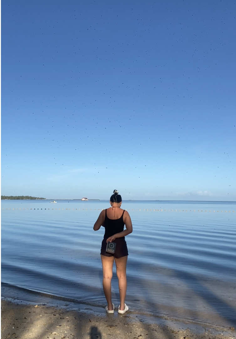 @Apey_obera