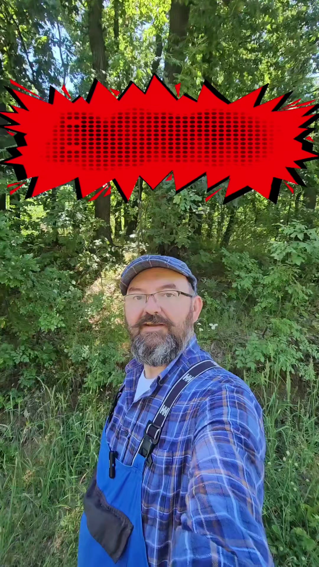 @čiča Zlaja